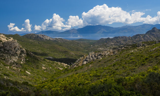 Ifana, France - GPS 42.666345, 9.141635 - Panasonic GH4 + Panasonic Lumix G Vario 12-35mm/2,8 OIS - 50mm - 1/125 - f/8.0 - ISO200