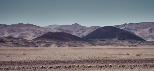 Antofagasta de la Sierra, Argentina - GPS -26.294612, -67.401960 - Panasonic Lumix GX8 + Panasonic Lumix G Vario 12-35mm/2,8 OIS - 70mm - 1/1000 - f/6.3 - ISO500