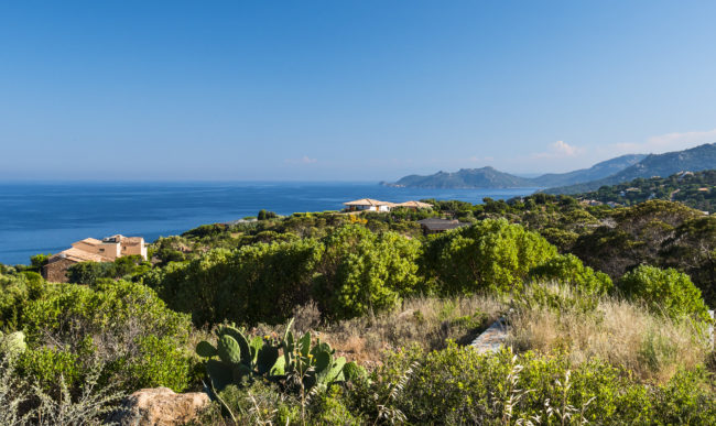 Bocca di l’Oru, France - GPS 41.542713, 9.292285 - Panasonic GH4 + Panasonic Lumix G Vario 12-35mm/2,8 OIS - 42mm - 1/100 - f/8.0 - ISO200