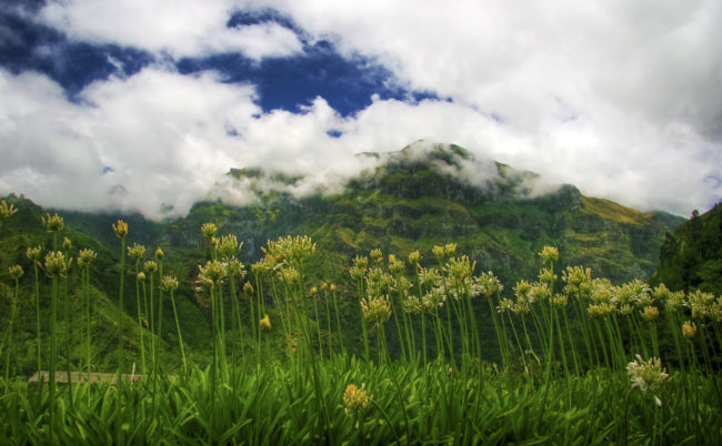 Achadas da Cruz, Portugal - GPS 32.809027, -17.196452 - Canon EOS 7D + Canon EF-S 17-85mm f/4-5.6 IS USM -  - 0/1 - f/8.0 - ISO100
