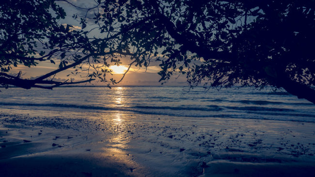 Manzanillo, Costa Rica - GPS 9.682982, -85.202667 - Panasonic Lumix GX8 + Panasonic LEICA DG SUMMILUX 12mm f1.4 - 24mm - 1/160 - f/6.3 - ISO200