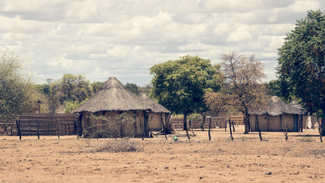 Xhauga, Botswana - GPS -18.421434, 21.862625 - Sony A7III + SONY FE 24-105mm, F4 G OSS - 105mm - 1/160 - f/8.0 - ISO100