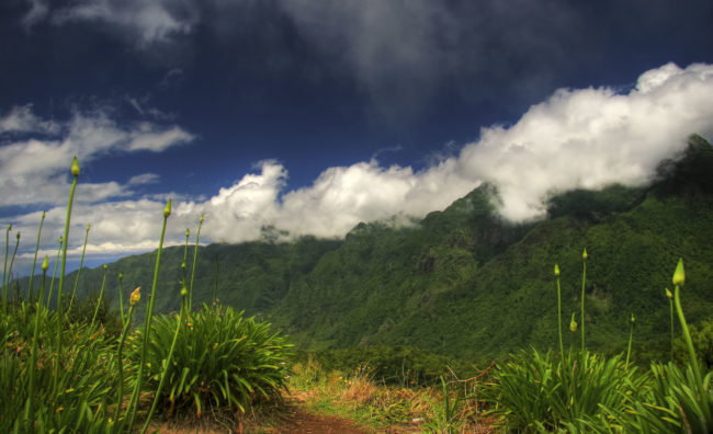 Achadas da Cruz, Portugal - GPS 32.809027, -17.196452 - Canon EOS 7D + Canon EF-S 17-85mm f/4-5.6 IS USM -  - 0/1 - f/8.0 - ISO100
