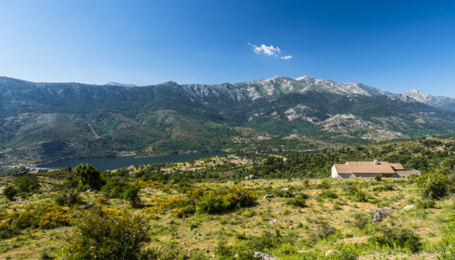 Lozzi, France - GPS 42.347337, 9.012462 - Panasonic GH4 + Panasonic Lumix G Vario 12-35mm/2,8 OIS - 24mm - 1/100 - f/8.0 - ISO200