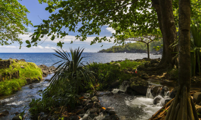 Bois-Blanc, Réunion - GPS -21.185482, 55.826793 - Canon EOS 7D + Tokina AF 11-16mm f/2.8 AT-X Pro DX -  - 1/50 - f/8.0 - ISO100