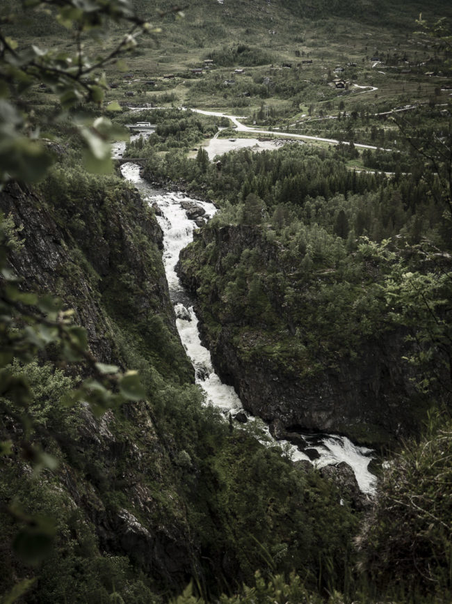 Garden, Norway - GPS 60.427437, 7.253603 - Panasonic GH4 + Panasonic Lumix G Vario 12-35mm/2,8 OIS - 42mm - 1/320 - f/2.8 - ISO100