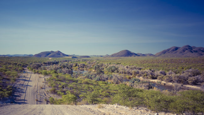 Oryeheke, Namibia - GPS -17.080928, 13.507026 - Sony A7III + SONY FE 24-105mm, F4 G OSS - 51mm - 1/80 - f/8.0 - ISO100
