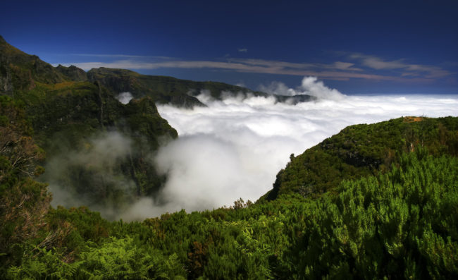 Ribeiro Frio, Portugal - GPS 32.726978, -16.919447 - Canon EOS 7D + Canon EF-S 17-85mm f/4-5.6 IS USM -  - 0/1 - f/8.0 - ISO100