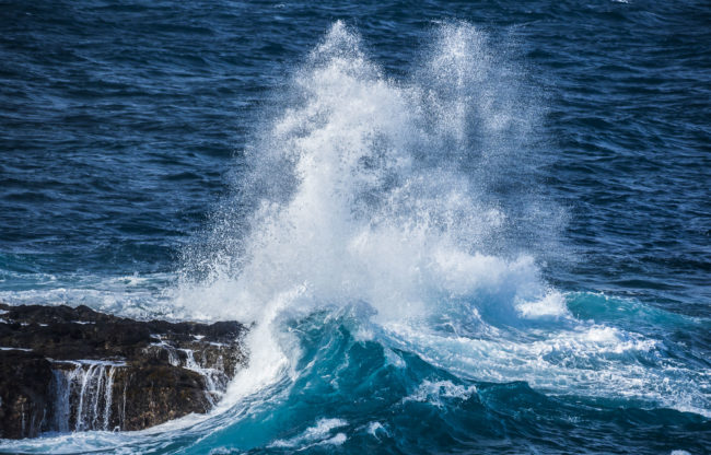 Los Paredes, Spain - GPS 28.839578, -17.782093 - Panasonic GH4 + Panasonic Lumix G Vario 100-300mm f4.0-5.6 OIS - 366mm - 1/400 - f/4.8 - ISO200
