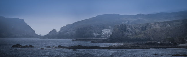 Slievebane, Ireland - GPS 55.371388, -7.337222 - Panasonic Lumix DMC-GH5 + Panasonic Leica DG Vario-Elmar 100-400mm f/4-6.3 ASPH - 448mm - 1/800 - f/6.3 - ISO640