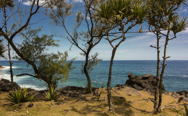 Baril, Réunion - GPS -21.368623, 55.735932 - SONY DSC-RX100 + 28-100mm F1.8-4.9 - 28mm - 1/200 - f/8.0 - ISO80