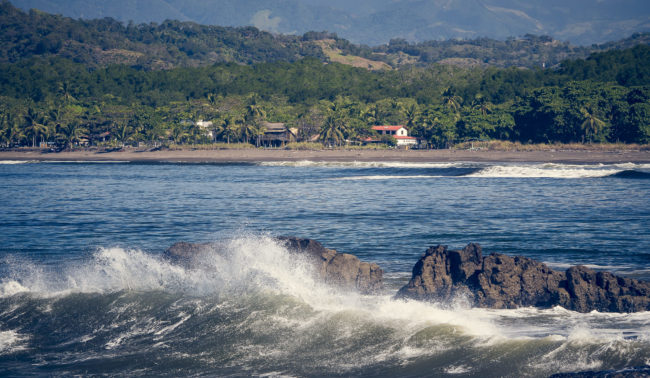 Tivives, Costa Rica - GPS 9.860482, -84.701048 - Panasonic Lumix GX8 + LEICA DG 100-400/F4.0-6.3 - 200mm - 1/500 - f/4.0 - ISO200