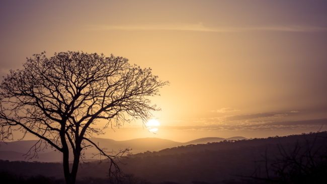Okaaruu, Namibia - GPS -18.694691, 13.742303 - Sony A7III + SONY FE 100-400mm F4.5-5.6 G Master + SONY SEL14TC - 140mm - 1/250 - f/8.0 - ISO100