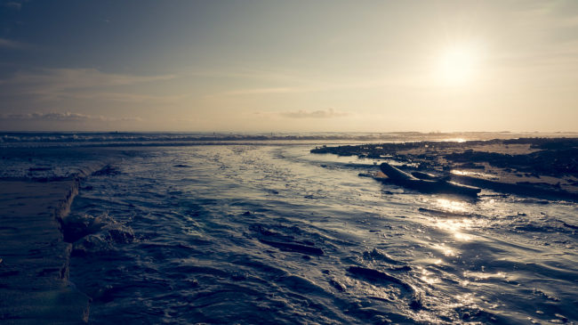 Primavera, Costa Rica - GPS 9.882948, -85.576215 - Panasonic Lumix GX8 + Panasonic LEICA DG SUMMILUX 12mm f1.4 - 24mm - 1/640 - f/8.0 - ISO200