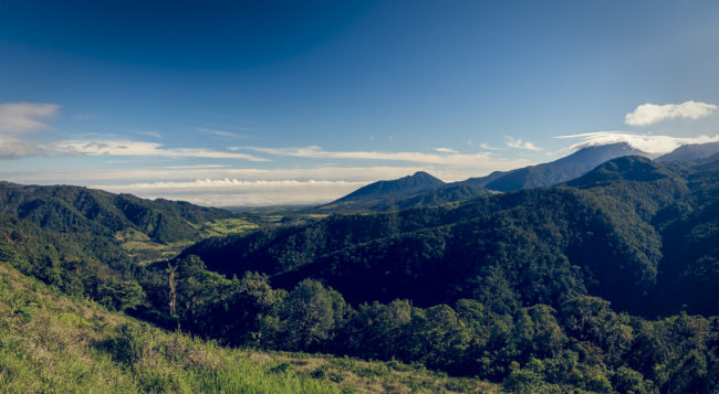 Toro Amarillo, Costa Rica - GPS 10.191688, -84.312335 - Panasonic Lumix GX8 + LEICA DG SUMMILUX 12/F1.4 - 24mm - 1/100 - f/8.0 - ISO200