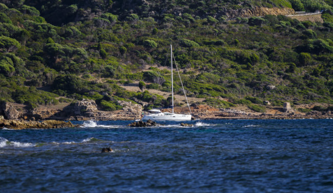 Campionna, Italy - GPS 38.915712, 8.776173 - Canon EOS 7D + Canon EF 70-200mm f/4 USM L IS -  - 1/500 - f/4.0 - ISO320