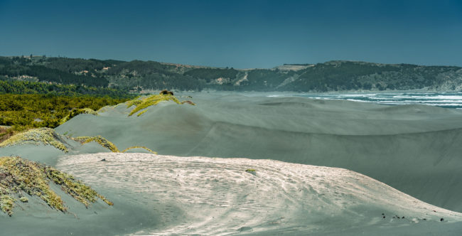 Laguna Topocalma, Chile - GPS -34.111103, -71.977698 - Sony A7III + SONY FE 24-105mm, F4 G OSS - 63mm - 1/320 - f/4.0 - ISO100