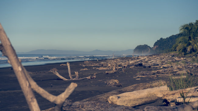 Playa Hermosa, Costa Rica - GPS 9.557772, -84.580257 - Panasonic Lumix DMC-GH5 + LUMIX G VARIO 35-100/F2.8 - 98mm - 1/640 - f/4.0 - ISO100