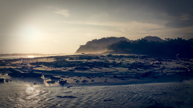 Primavera, Costa Rica - GPS 9.882948, -85.576215 - Panasonic Lumix GX8 + Panasonic LEICA DG SUMMILUX 12mm f1.4 - 24mm - 1/400 - f/8.0 - ISO200