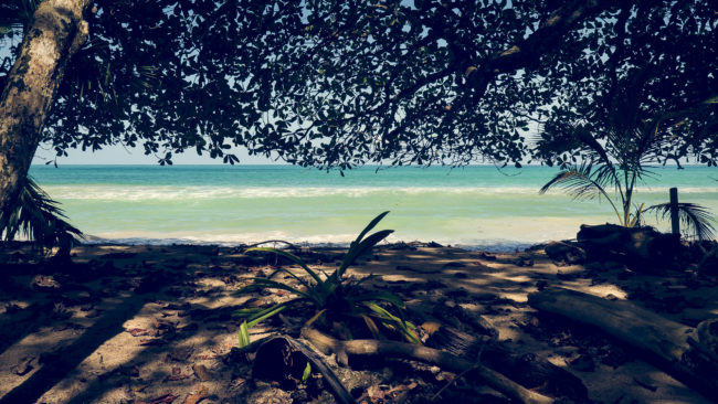 Cahuita, Costa Rica - GPS 9.734235, -82.831532 - Panasonic Lumix GX8 + LUMIX G VARIO 12-35/F2.8 - 38mm - 1/80 - f/6.3 - ISO100