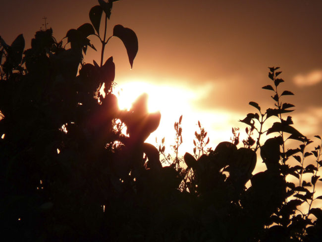 Westerhausen, Germany - GPS 52.510067, 8.052102 - Canon EOS 7D + Sigma AF 24-70mm f/2.8 EX DG macro -  - 1/100 - f/8.0 - ISO100