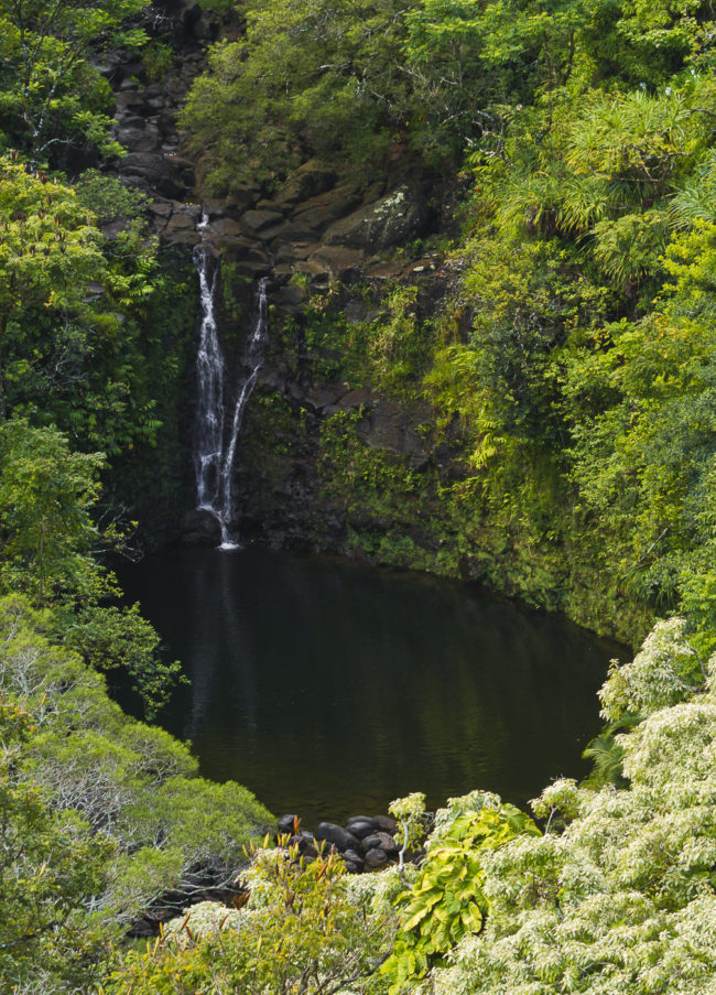 Honomanü Ahupua`a, Hawaii - GPS 20.867638, -156.178487 - Canon EOS 7D + Canon EF 70-200mm f/4 USM L IS -  - 1/25 - f/5.0 - ISO100