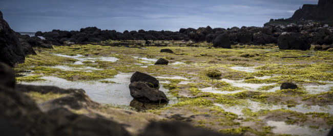 Causeway Head, Ireland - GPS 55.233055, -6.514722 - Panasonic Lumix GX8 + Panasonic Lumix G Vario 12-35mm/2,8 OIS - 62mm - 1/2500 - f/2.8 - ISO200