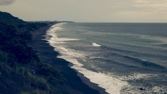 Pochotal, Costa Rica - GPS 9.580913, -84.614448 - Panasonic Lumix DMC-GH5 + LUMIX G VARIO 12-35/F2.8 - 46mm - 1/160 - f/8.0 - ISO100