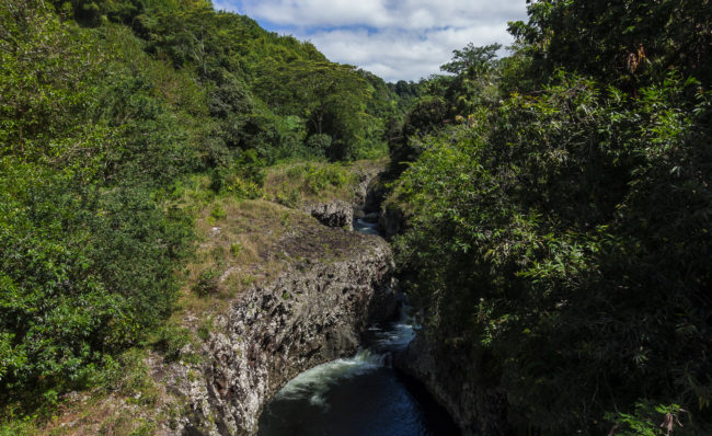 La Paix, Réunion - GPS -21.023168, 55.670445 - SONY DSC-RX100 + 28-100mm F1.8-4.9 - 28mm - 1/160 - f/8.0 - ISO80