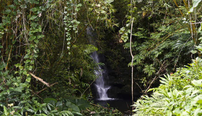 Honomu Ahupua`a, Hawaii - GPS 19.853910, -155.152573 - Canon EOS 7D + Sigma 17-50mm, F2,8 EX DC OS HSM -  - 1/30 - f/2.8 - ISO320