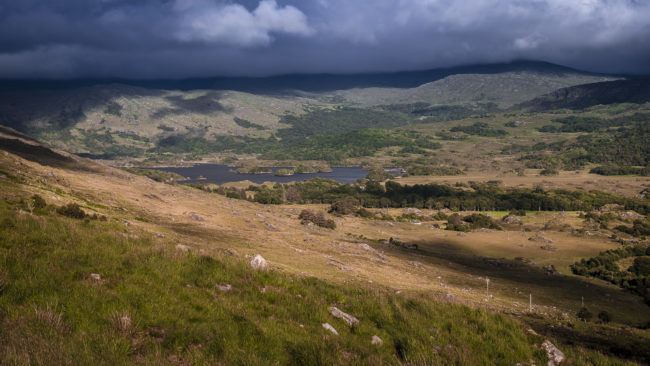Derrylea, Ireland - GPS 51.989368, -9.653803 - Panasonic Lumix GX8 + Panasonic Lumix G Vario 12-35mm/2,8 OIS - 70mm - 1/400 - f/6.3 - ISO200