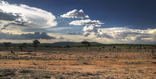 Lari, Kenya - GPS -1.022812, 36.621658 - Canon EOS 20D + Canon EF-S 17-85mm f/4-5.6 IS USM & Canon EF 70-300mm f/4-5.6 IS USM -  - 0/1 - f/8.0 - ISO100