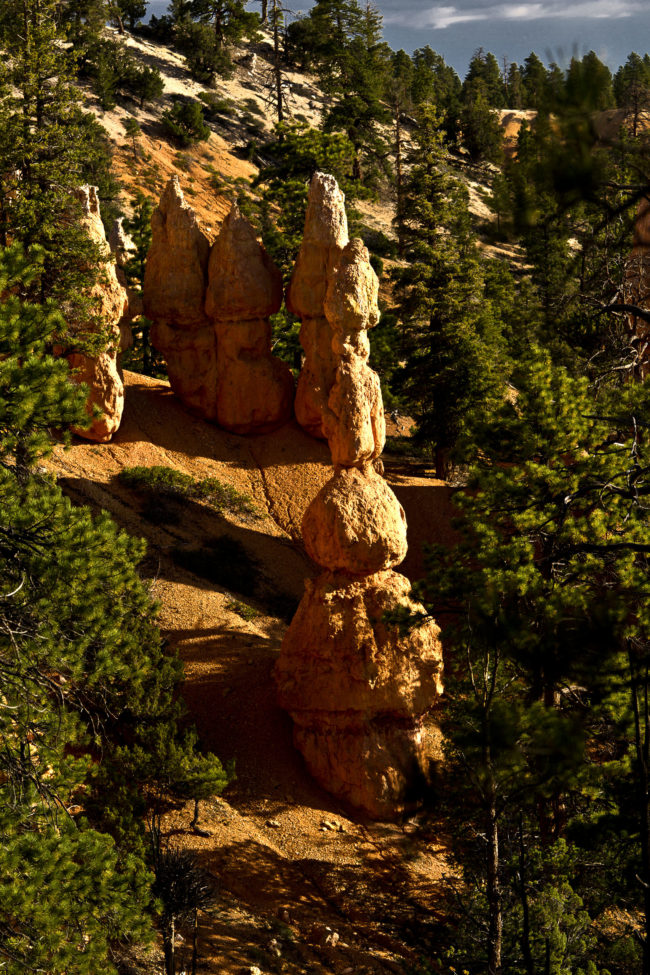 Bryce Canyon, United States - GPS 37.622517, -112.165862 - Canon EOS 7D + Canon EF 70-200mm f/4 USM L IS -  - 1/100 - f/7.1 - ISO100