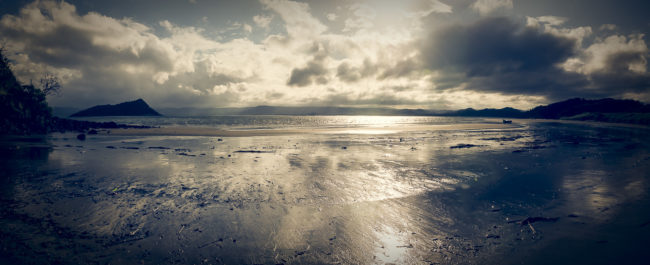 El Jobo, Costa Rica - GPS 11.044053, -85.723125 - Panasonic Lumix GX8 + Panasonic LEICA DG SUMMILUX 12mm f1.4 - 24mm - 1/1250 - f/8.0 - ISO200