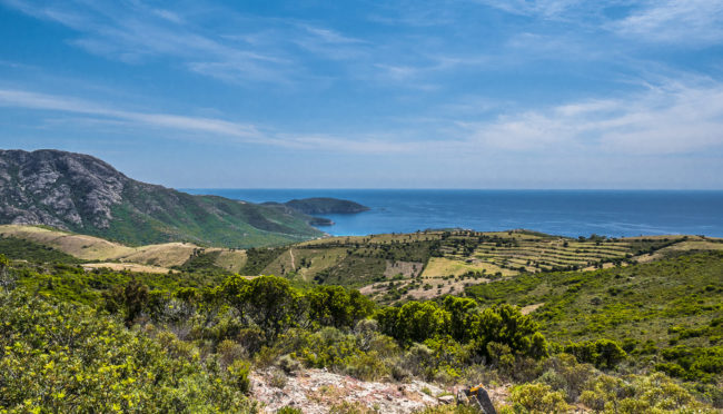 Ficajola, France - GPS 42.239662, 8.594335 - Panasonic GH4 + Panasonic Lumix G Vario 12-35mm/2,8 OIS - 24mm - 1/200 - f/8.0 - ISO200