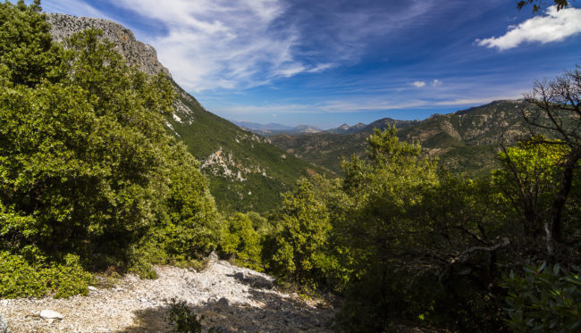 Urzulei, Italy - GPS 40.179230, 9.504062 - Canon EOS 7D + Tokina AF 11-16mm f/2.8 AT-X Pro DX -  - 1/80 - f/8.0 - ISO100