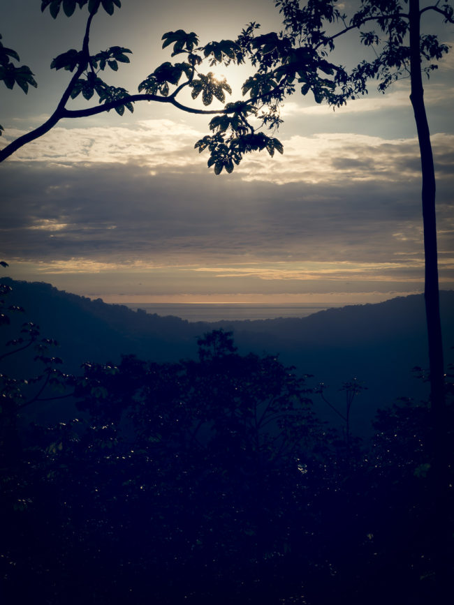 Barú, Costa Rica - GPS 9.286620, -83.827812 - Panasonic Lumix DMC-GH5 + Panasonic Lumix G Vario 12-35mm/2,8 OIS - 50mm - 1/80 - f/20.0 - ISO100