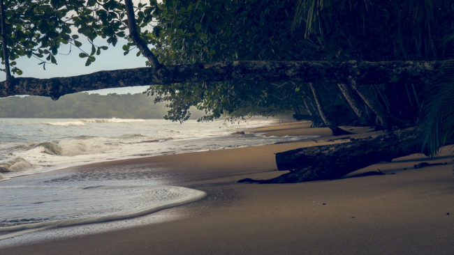 Cahuita, Costa Rica - GPS 9.734507, -82.833327 - Panasonic Lumix GX8 + Panasonic Lumix G Vario 12-35mm/2,8 OIS - 48mm - 1/100 - f/8.0 - ISO200