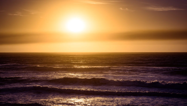 La Boca, Chile - GPS -33.914833, -71.845808 - Sony A7III + SONY FE 70-300mm F4.5-5.6 G OSS - 84mm - 1/1600 - f/8.0 - ISO100