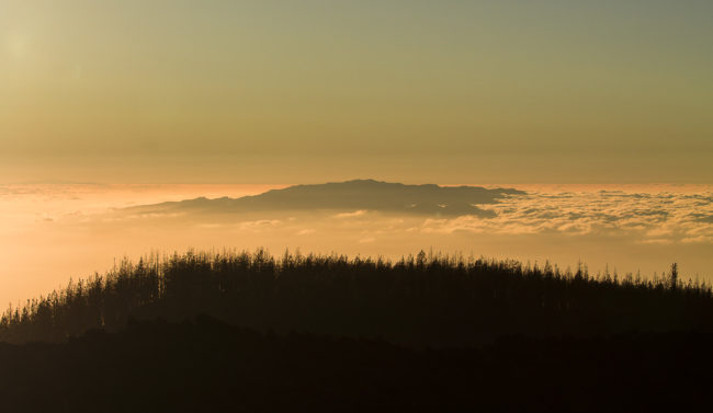 Chirche, Spain - GPS 28.244908, -16.704822 - Canon EOS 7D + Canon EF 70-200mm f/4 USM L IS -  - 1/320 - f/8.0 - ISO100