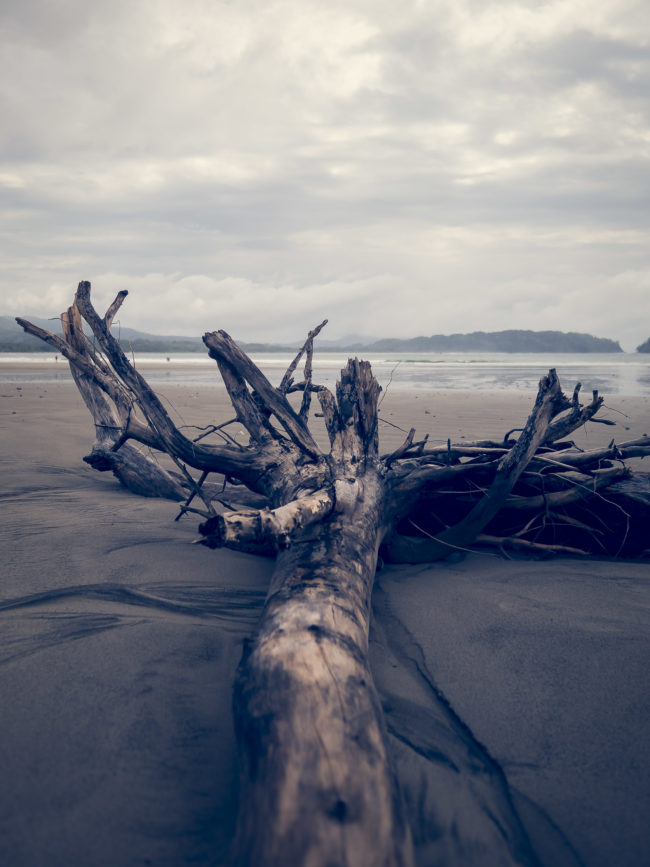 Sámara, Costa Rica - GPS 9.877255, -85.532222 - Panasonic Lumix GX8 + LEICA DG SUMMILUX 12/F1.4 - 24mm - 1/4000 - f/1.4 - ISO200