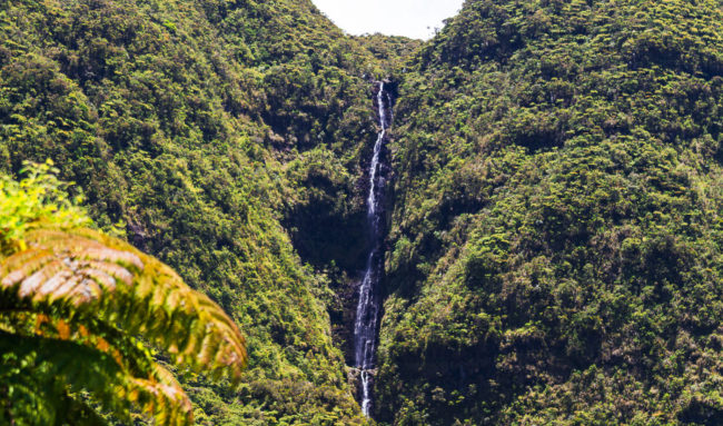 Premier Village, Ile De La Reunion - GPS -21.119032, 55.624375 - Canon EOS 7D + Canon EF 70-200mm f/4 USM L IS -  - 1/100 - f/4.0 - ISO100