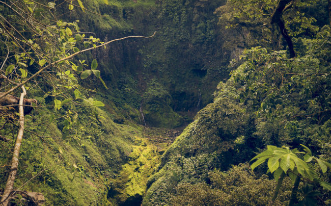 Río Segundo, Costa Rica - GPS 10.254762, -84.274553 - Panasonic Lumix DMC-GH5 + Panasonic Lumix G Vario 12-35mm/2,8 OIS - 40mm - 1/50 - f/4.5 - ISO100