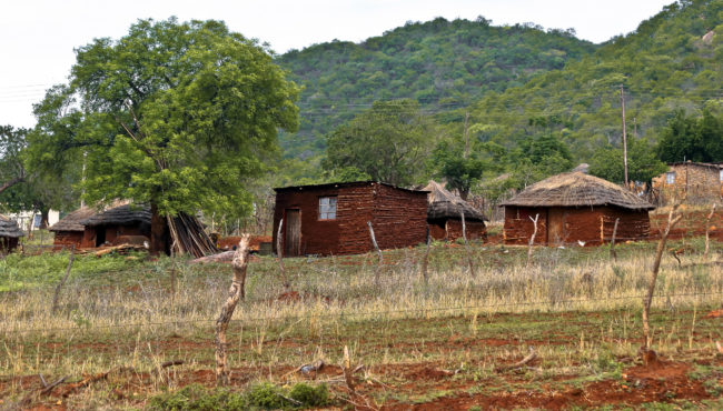 Forbes Reef, Swaziland - GPS -26.093598, 31.170080 - Canon EOS 20D + Canon EF-S 17-85mm f/4-5.6 IS USM -  - 0/1 - f/8.0 - ISO100