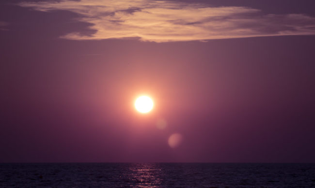 Pedanu, France - GPS 42.512863, 9.179665 - Panasonic GH4 + Panasonic Lumix G Vario 100-300mm f4.0-5.6 OIS - 200mm - 1/50 - f/18.0 - ISO200