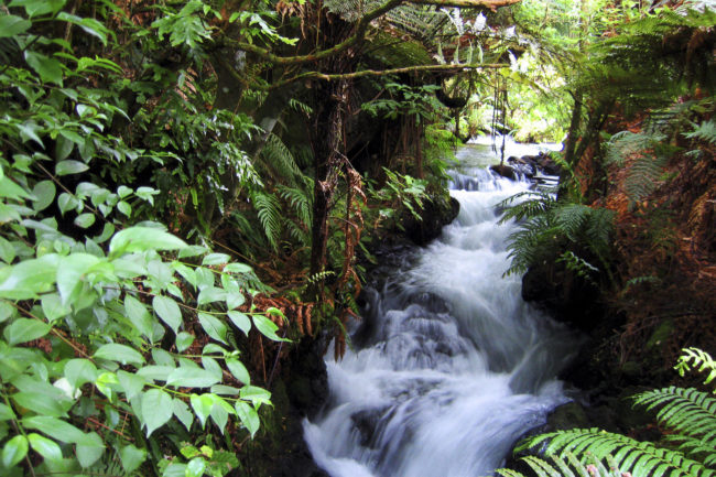Buried Village, New Zealand - GPS -38.212768, 176.363653 - Canon EOS 20D + Canon EF-S 17-85mm f/4-5.6 IS USM -  - 1/100 - f/8.0 - ISO100