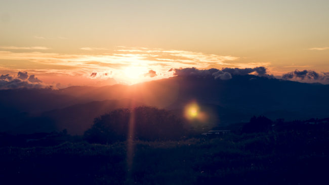 Potrero Cerrado, Costa Rica - GPS 9.931073, -83.879097 - Panasonic Lumix GX8 + Panasonic Lumix G Vario 12-35mm/2,8 OIS - 70mm - 1/80 - f/8.0 - ISO200