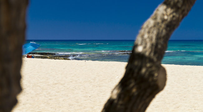 Mahaiula, Hawaii - GPS 19.781280, -156.041122 - Canon EOS 7D + Sigma 17-50mm, F2,8 EX DC OS HSM -  - 1/800 - f/2.8 - ISO100