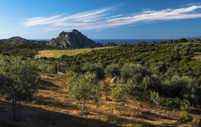 Sardellu, France - GPS 42.653608, 9.199472 - Panasonic GH4 + Panasonic Lumix G Vario 12-35mm/2,8 OIS - 50mm - 1/100 - f/8.0 - ISO200