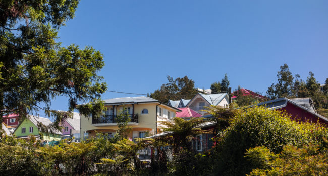 La Plaine des Cafres, Réunion - GPS -21.232698, 55.551790 - SONY DSC-RX100 + 28-100mm F1.8-4.9 - 100mm - 1/200 - f/8.0 - ISO80